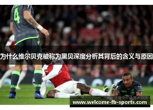 为什么维尔贝克被称为黑贝深度分析其背后的含义与原因 为什么维尔贝克被称为黑贝深度分析其背后的含义与原因