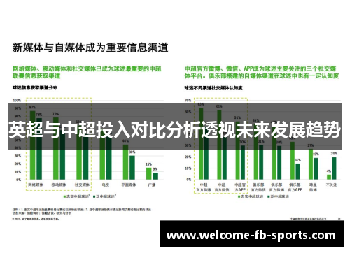 英超与中超投入对比分析透视未来发展趋势