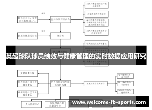 英超球队球员绩效与健康管理的实时数据应用研究