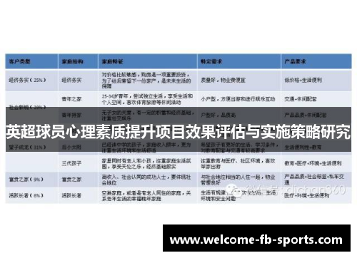 英超球员心理素质提升项目效果评估与实施策略研究