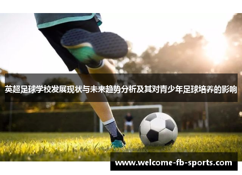 英超足球学校发展现状与未来趋势分析及其对青少年足球培养的影响