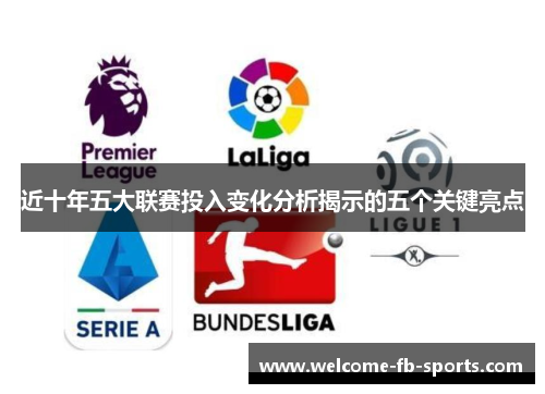 近十年五大联赛投入变化分析揭示的五个关键亮点